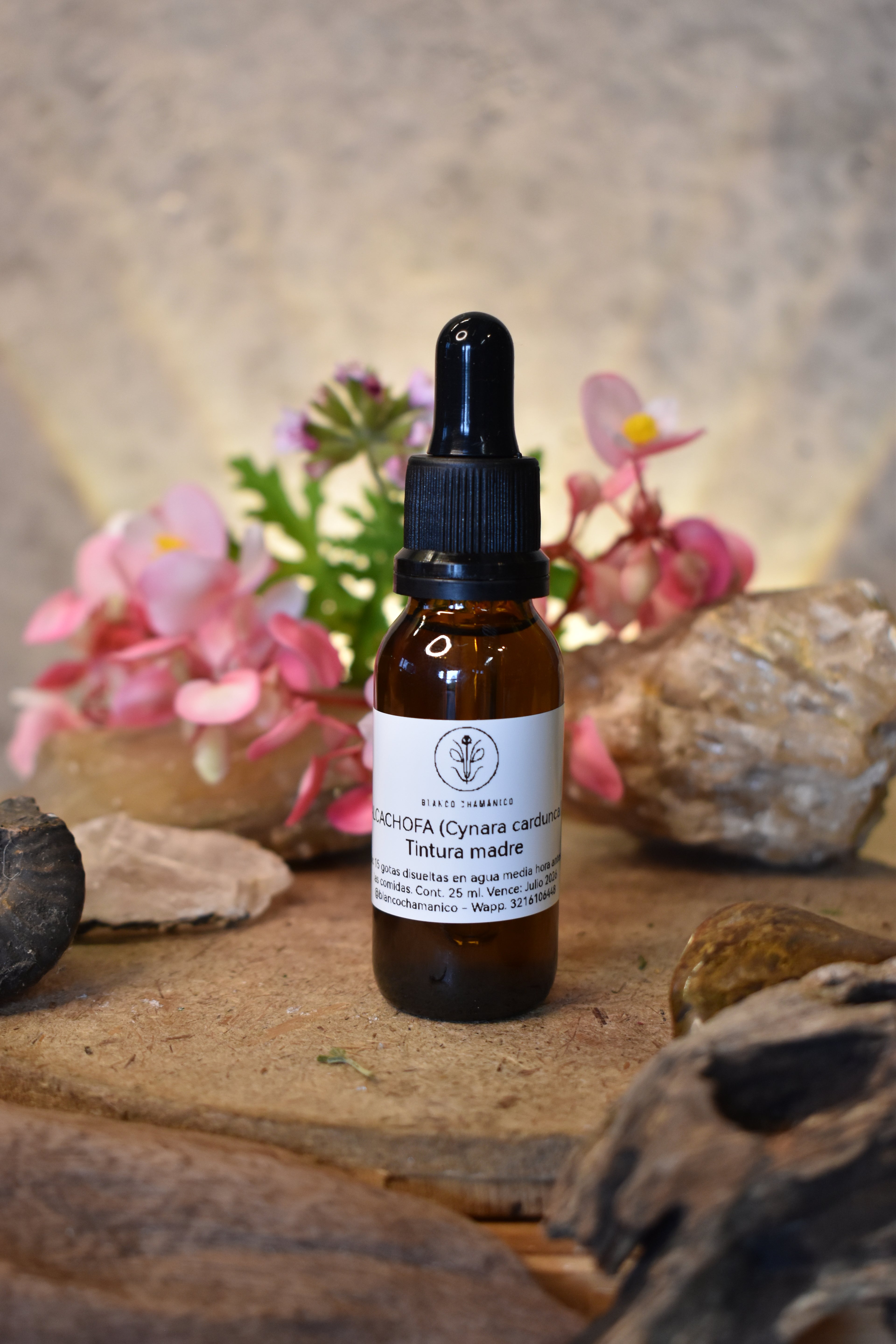 ALCACHOFA (Cynara carduncal)