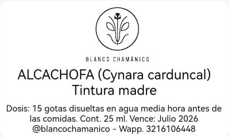 ALCACHOFA (Cynara carduncal)
