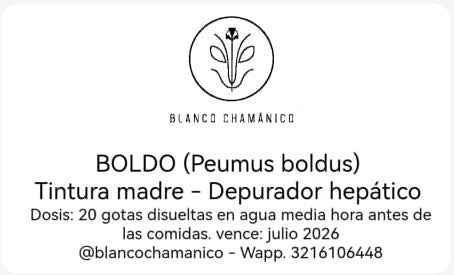 BOLDO (Peumus boldus) - Depurador hepático