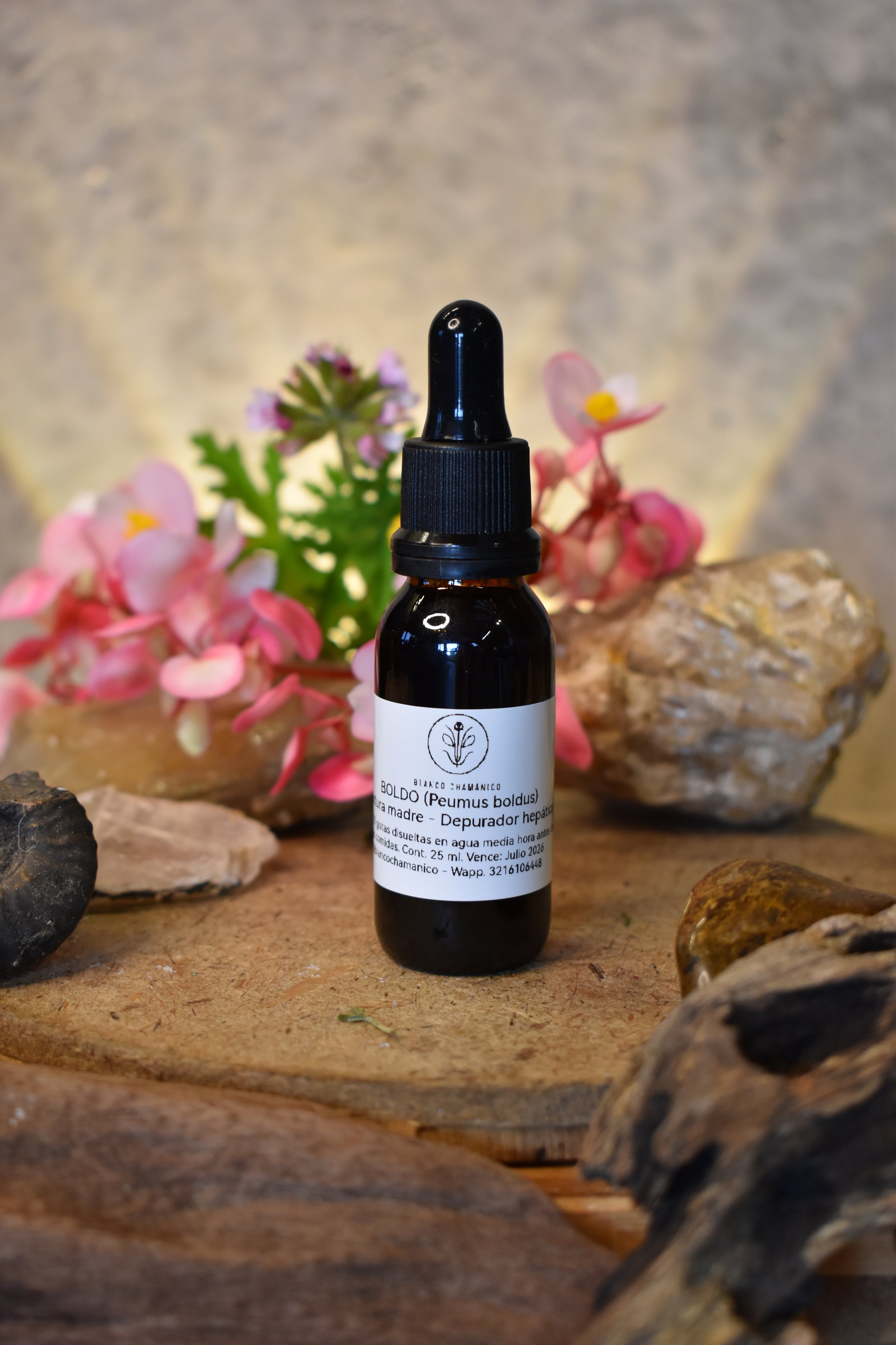 BOLDO (Peumus boldus) - Depurador hepático