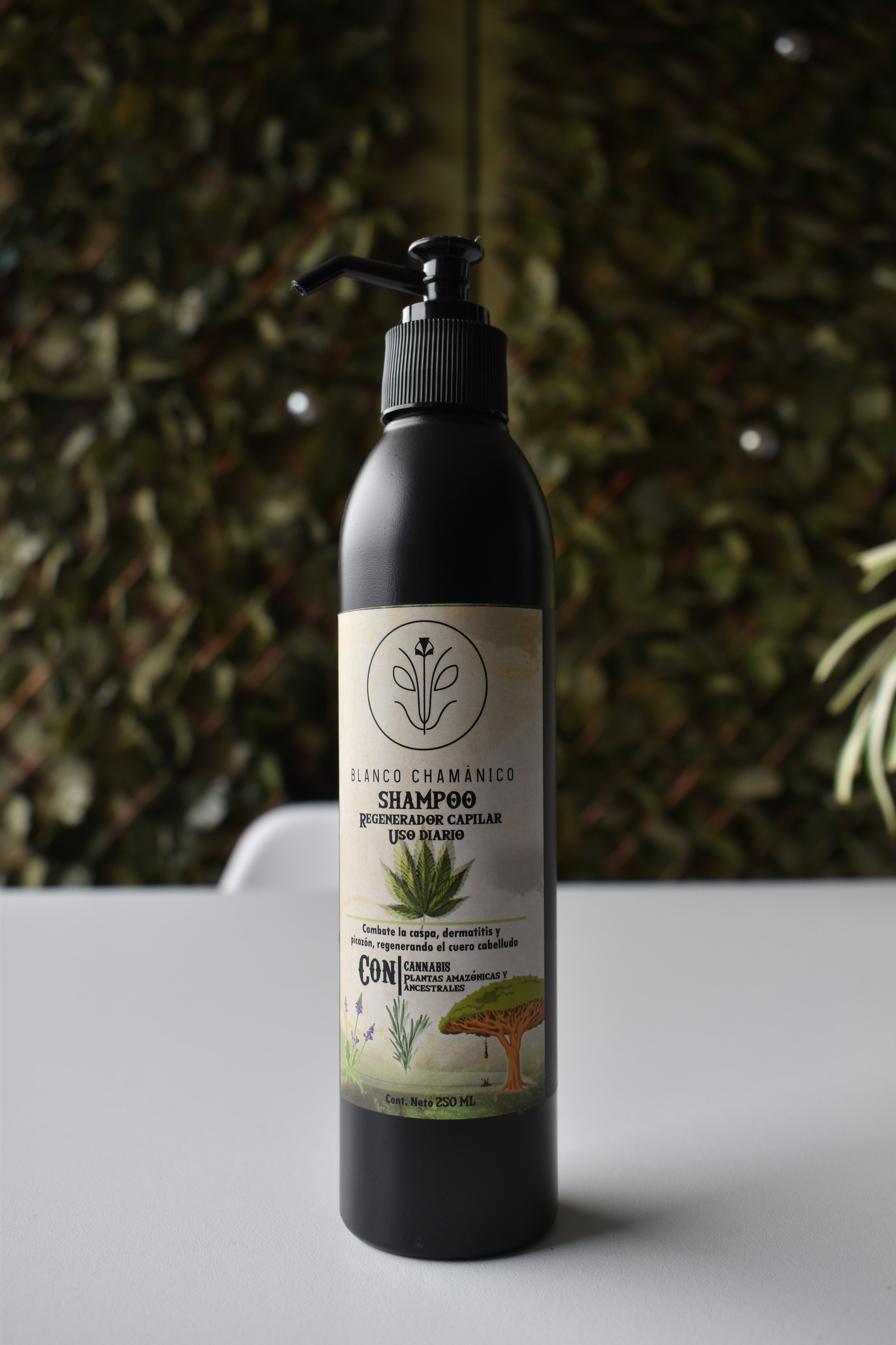 Shampoo regenerador capilar uso diario