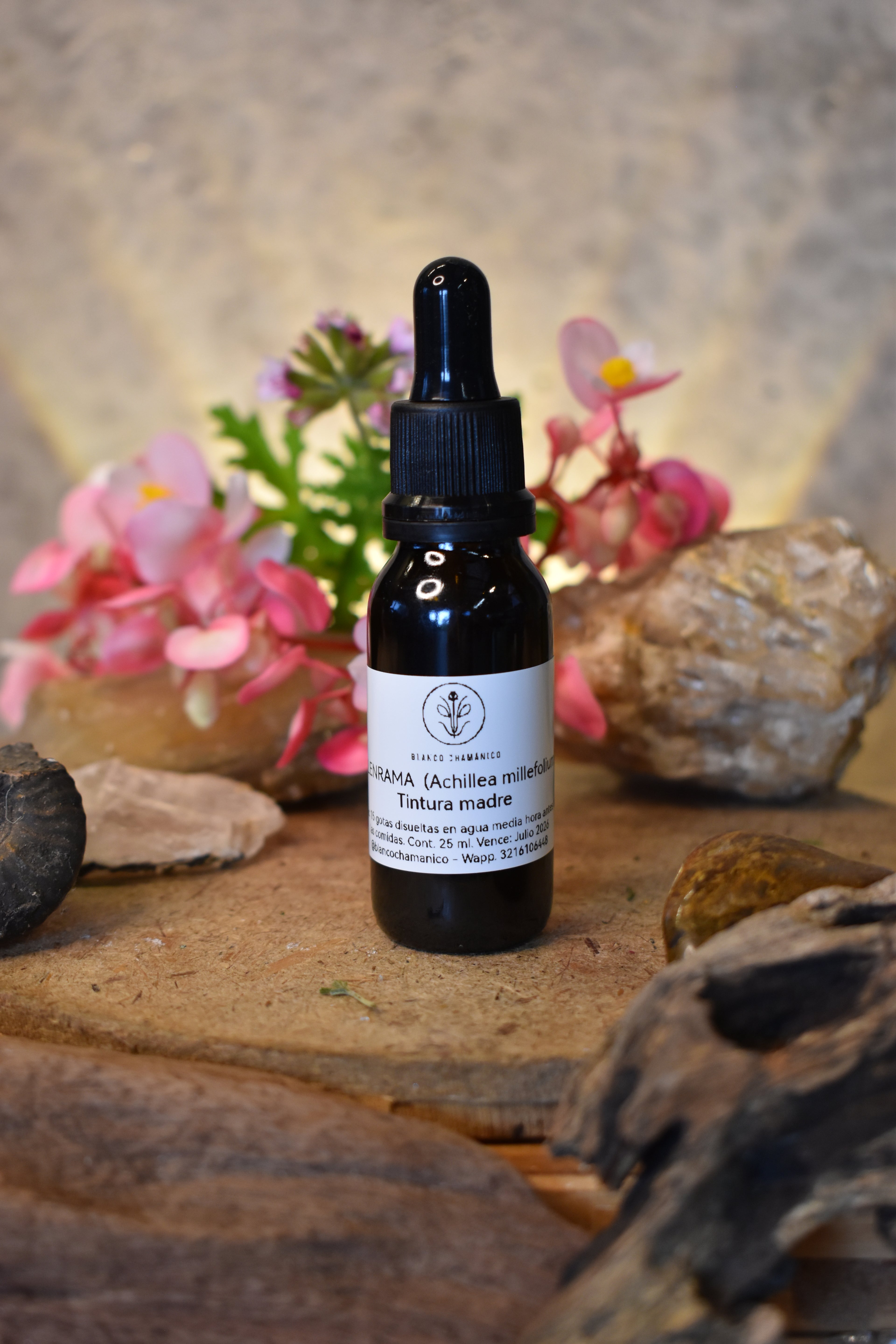 MILENRAMA (Achillea millefolium)