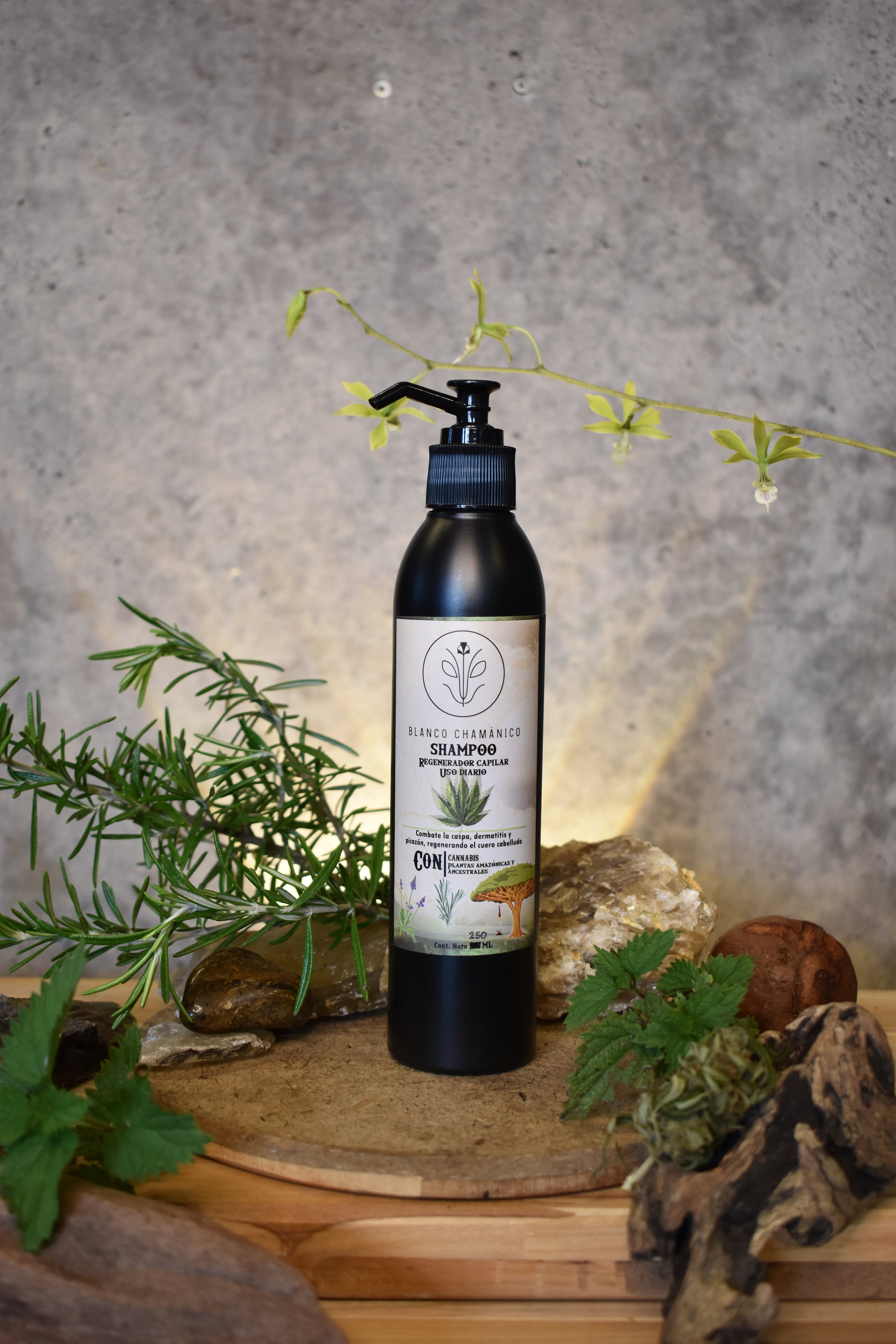 Shampoo regenerador capilar uso diario